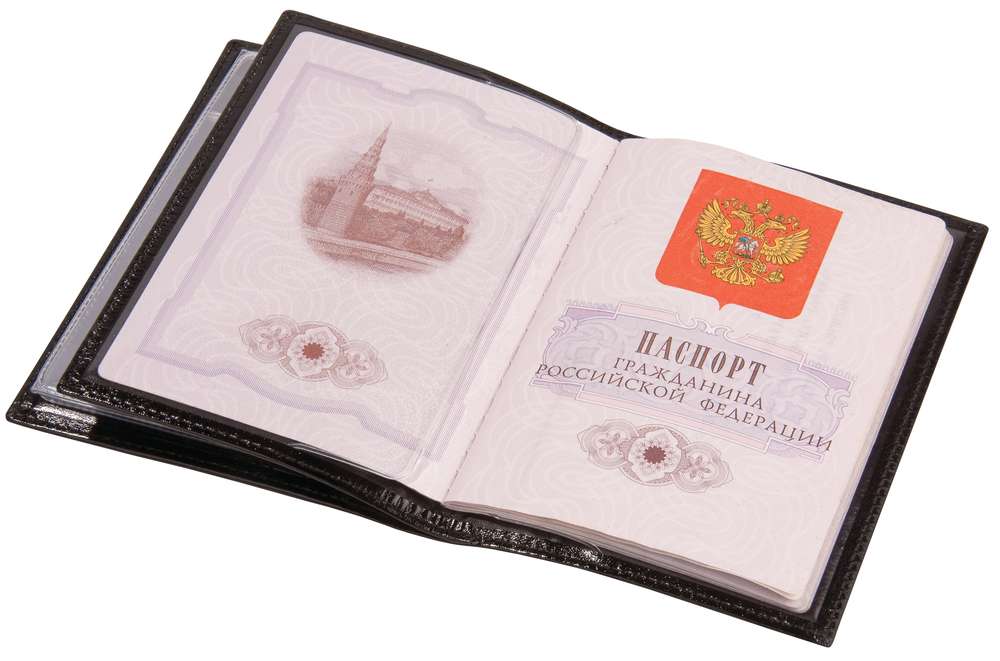 Обложка для автодокументов и паспорта OMNIA MEA