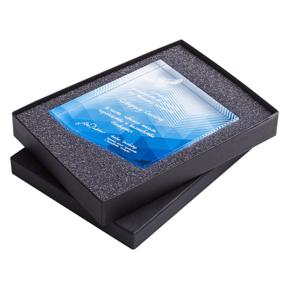 НАГРАДА «ТОЧКА ОПОРЫ» Награда «Точка опоры»