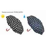Зонты с печатью COLOR PRINT
