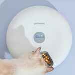 Электронные кормушки для животных FEEDER