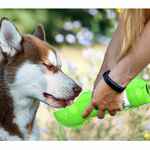 Поилка PILE для прогулок с животными 3 в 1