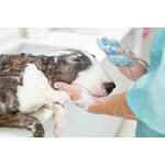 Перчатки для груминга SKIRR