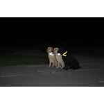 Светоотражатели мягкие