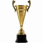 Кубок RECORDSMAN, золотистый