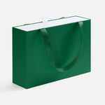 Коробка REGALIS, зеленая