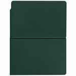 Ежедневник FLEXPEN BRIGHT, недатированный, зеленый