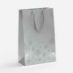 Пакет WINTRY, серебристый