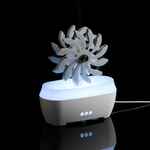 Увлажнитель-ароматизатор STEAM SPIN, белый с серым