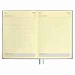 Ежедневник AVILA, недатированный, серый