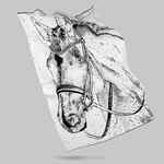 Плед «Вороной»