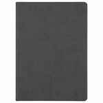 Ежедневник BASIS, датированный, темно-серый