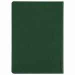 Ежедневник BASIS, датированный, зеленый