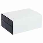 Набор WHISKY STYLE