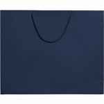 Пакет бумажный AMPLE PLUS L, синий