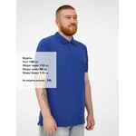 Рубашка поло мужская VIRMA PREMIUM, ярко-синяя (ROYAL), размер S