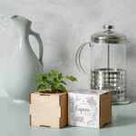 Набор для выращивания «Экокуб LITE», сирень