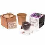 Набор для выращивания «Экокуб LITE», сирень