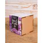 Набор для выращивания «Экокуб LITE», сирень