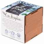 Набор для выращивания «Экокуб LITE», ель голубая