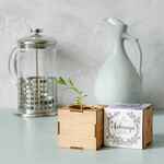 Набор для выращивания «Экокуб LITE», лаванда