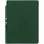 Ежедневник FLEXPEN COLOR, датированный, зеленый