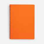 Ежедневник SPRING SHALL, недатированный, оранжевый