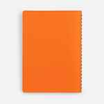 Ежедневник SPRING SHALL, недатированный, оранжевый