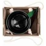 Набор COLOR BLOCK: кружка и ручка, зеленый с черным