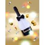 Аксессуар для бутылки BLACK TIE