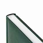 Ежедневник SAGRIN, недатированный, зеленый