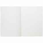 Ежедневник FLAT LIGHT, недатированный, серый