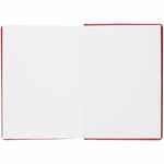 Ежедневник NEBRASKA, недатированный, красный