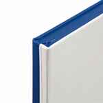 Ежедневник DUPLEX, недатированный, белый с синим