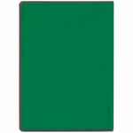 Ежедневник FRAME, недатированный, зеленый с серым