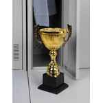 Кубок SPICA, большой, золотистый