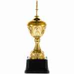 Кубок TOP STAR, золотистый
