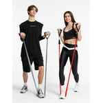 Набор трубчатых эспандеров GYM TEAM