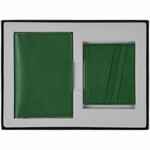 Набор PETRUS MINI, зеленый