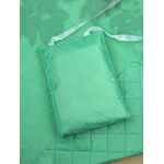 Плед для пикника SOFT & DRY 2, светло-зеленый