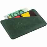 Чехол для карточек INSTREAM, зеленый
