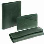 Чехол для карточек INSTREAM, зеленый
