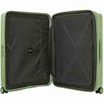 Чемодан FORZA S, светло-зеленый