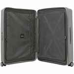 Чемодан FORZA L, серый