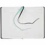 Ежедневник ALANIS, недатированный, черный с голубым