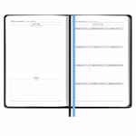 Ежедневник ALANIS, недатированный, черный с голубым