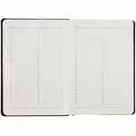 Ежедневник ALANIS, недатированный, черный с синим