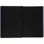 Ежедневник ALANIS, недатированный, черный с синим