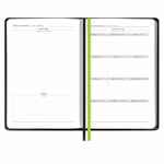 Ежедневник ALANIS, недатированный, черный с зеленым