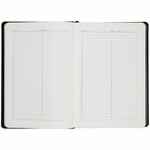 Ежедневник ALANIS, недатированный, черный с зеленым