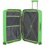 Чемодан BUTTERFLY M, зеленый